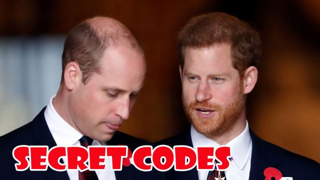 Prince Harry tells of secret code William used to communicate at royal funeral