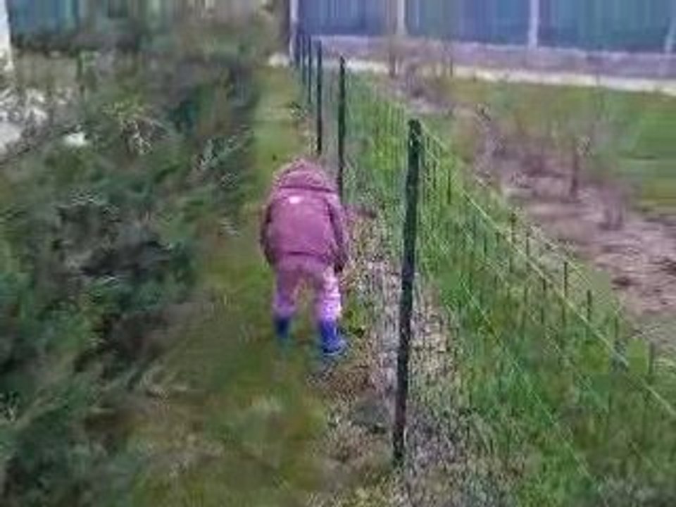 La chasse aux oeufs (2ème partie) Action