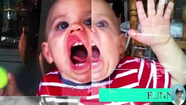 Funniest Teething Generation Drive Toys Car Funny Compilation.