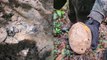 Estas son las nuevas pistas que se encontraron de los niños perdidos en la selva de Colombia