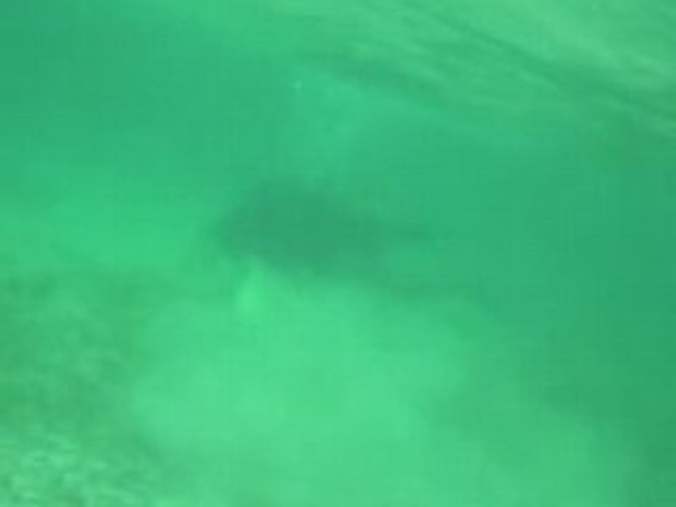 Notre bapteme de plonger en guadeloupe