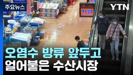 오염수 방류 소식에 얼어붙은 어시장..."손님 발길 끊길까" / YTN