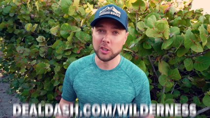 I Swam with 100 Manatees!