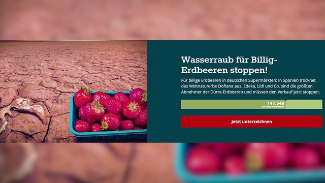 Una campaña alemana pide a supermercados no vender fresas españolas para no secar Doñana