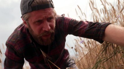 Farm Rebellion: Disney Plus widmet deutscher Landwirtschaft eine eigene Doku-Serie