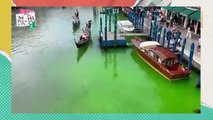 ¡Aguas verdes en los canales de Venecia!