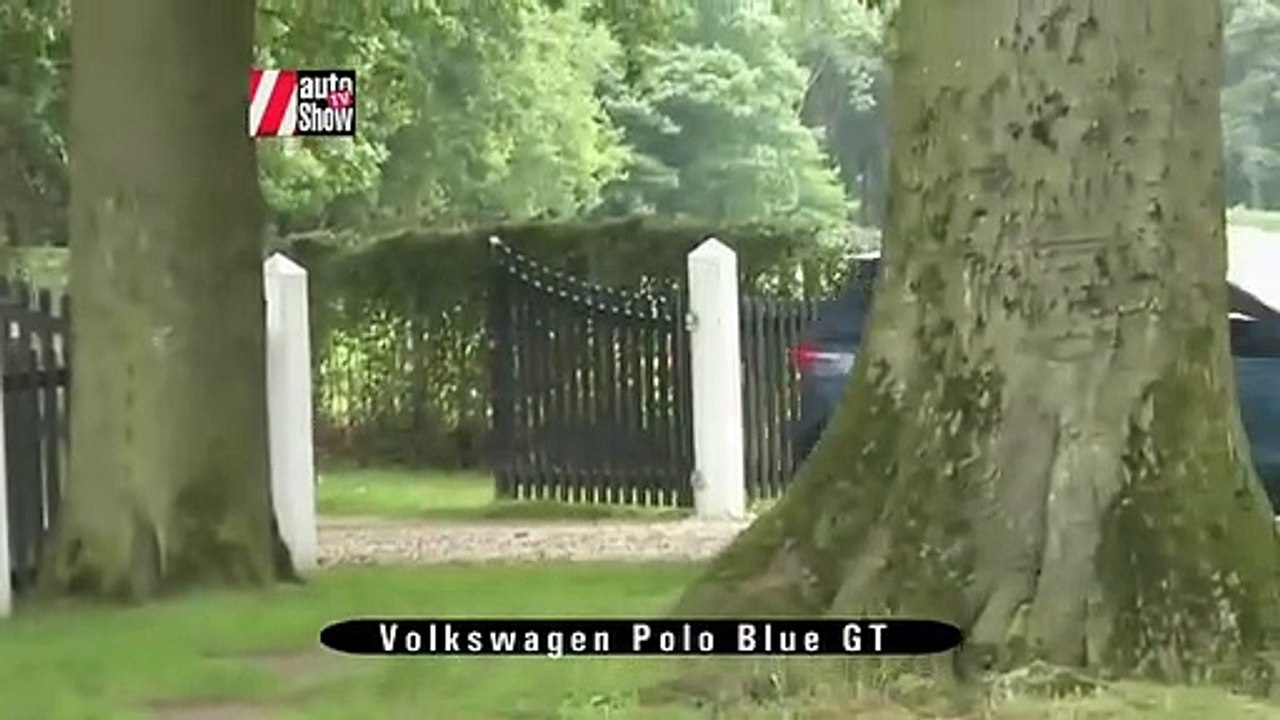 Volkswagen Polo Blue GT