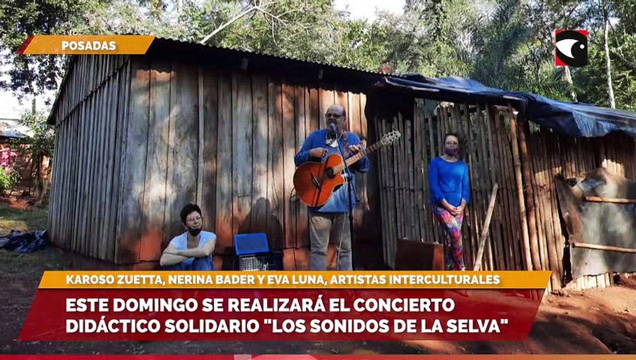 Este domingo se realizará el concierto didáctico solidario los sonidos de la selva
