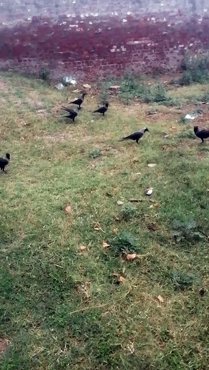 online earning in pakistan without investment, online earning, earn money online, Online earning in pakistan