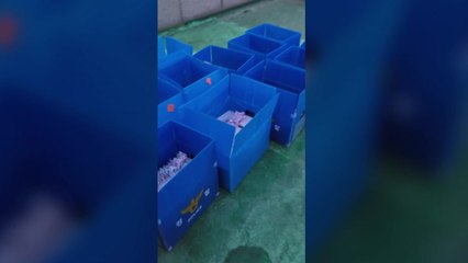 '구리 전세사기'에 범죄집단조직죄 적용...26명 송치 / YTN