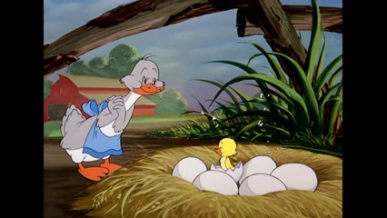 Tom & Jerry _ Best of Little Quacker _ Classic Cartoon Compilation _ WB Kids (1)