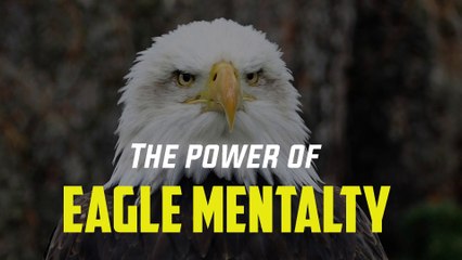 The Power Of Eagle Mindset - Shafiq Motivation