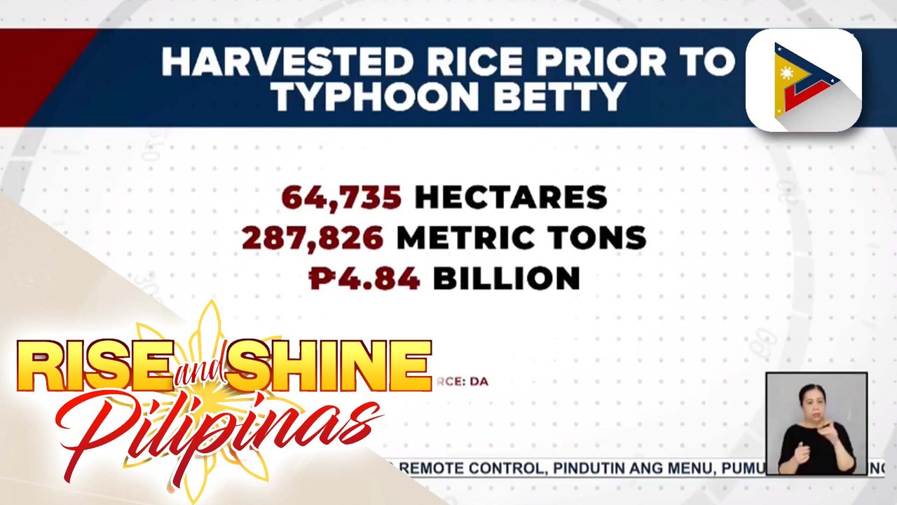 Higit 60 ektarya ng pananim na bigas sa ilang rehiyon, naani bago pa ang pagdating ng Bagyong Betty