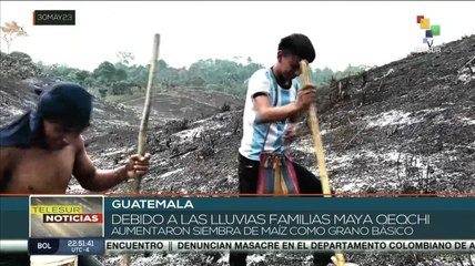 Regiones de Guatemala inician las siembras colectivas de maíz
