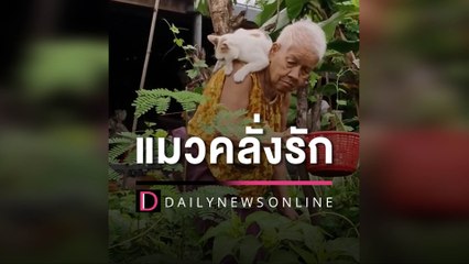 แมวคลั่งรัก ยายไปไหนหนูไปด้วย | HOTSHOT เดลินิวส์ 31/05/66