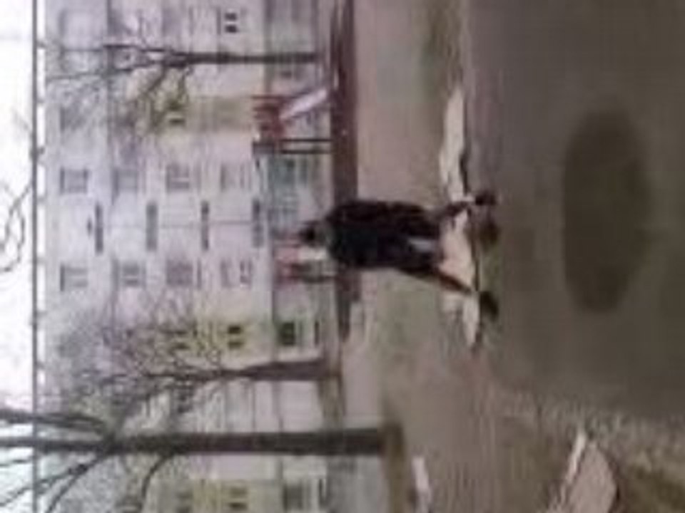 street ball