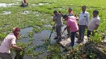 अमृतम जलमः नाव लेकर तालाब में उतरे ढाई सौ सफाई दूत