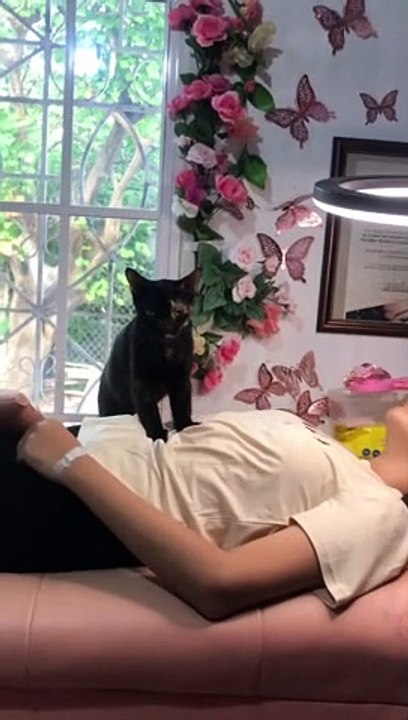 Kitty Helps Pamper Clients