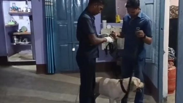 नवादा: चोरों तक पहुंचने के लिए बुलाई गई डॉग स्क्वायड की टीम, नहीं मिला कोई सुराग