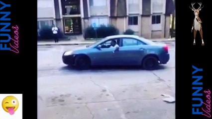 079 Laugh Out Loud Hilarious Videos Guaranteed to Make You Smile