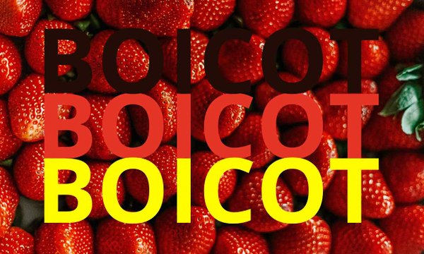 Una campaña alemana pide a supermercados no vender fresas españolas para no secar Doñana