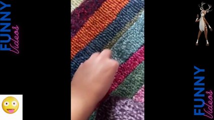 088 Laugh Out Loud Hilarious Videos Guaranteed to Make You Smile