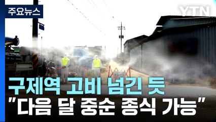 십여 일째 구제역 추가 발생 없어..."6월 중순 종식 선언 가능" / YTN