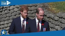 William et Harry : Révélations sur leur rencontre secrète et 
