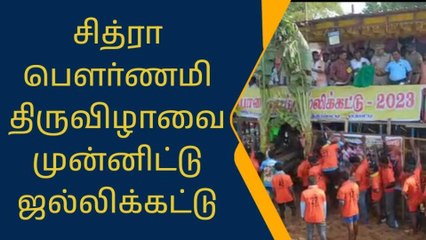 Download Video: திருச்சி: மாபெரும் ஜல்லிக்கட்டு-வாடிவாசலில் சீறிப்பாய்ந்த காளைகள்