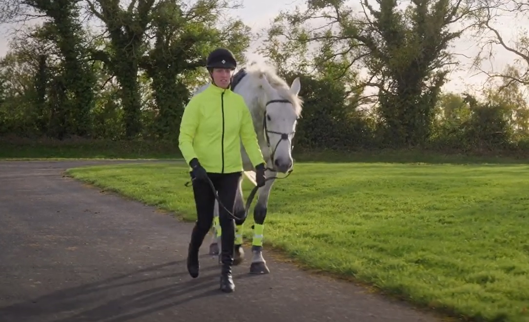 Horse Week: Ulsterwoman heads up world TV commentary as Swedes