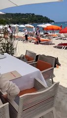 Une laie et son marcassin s'offrent un déjeuner sur une plage privée de Pampelonne