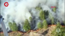 Rusyada orman yangını