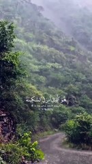 اسلامی ویڈیو