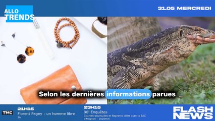 下载视频: Lidl : La marque relance sa collection de vêtements et accessoires !