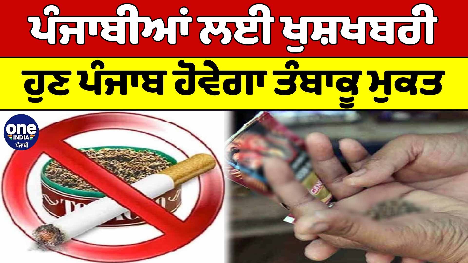 what's in tobacco products Physical and chemical characterization of smokeless tobacco products in  India