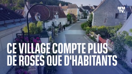Le village de Chédigny compte plus de roses que d'habitants