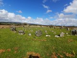 The Beaghmore Stone Circles
