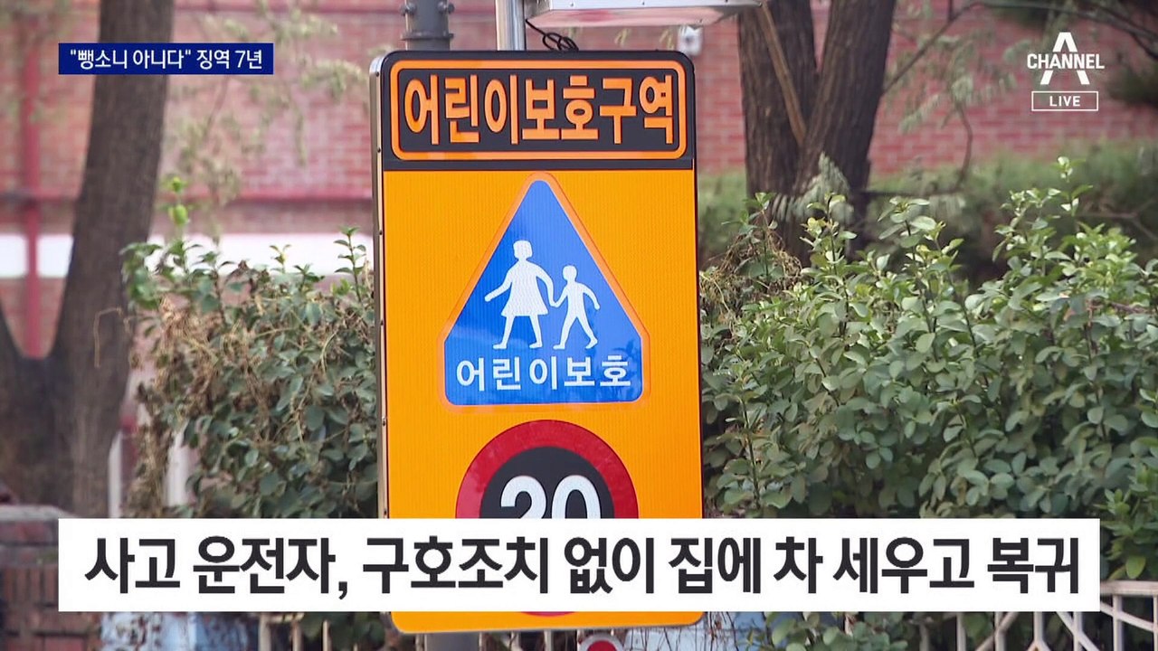 ‘강남 스쿨존 음주운전’ 뺑소니 제외하고 징역 7년 선고