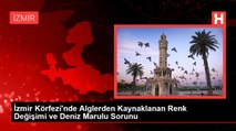 İzmir Körfezi'nde Alglerden Kaynaklanan Renk Değişimi ve Deniz Marulu Sorunu