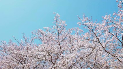 Ever Since We Kissed - Victor Lundberg