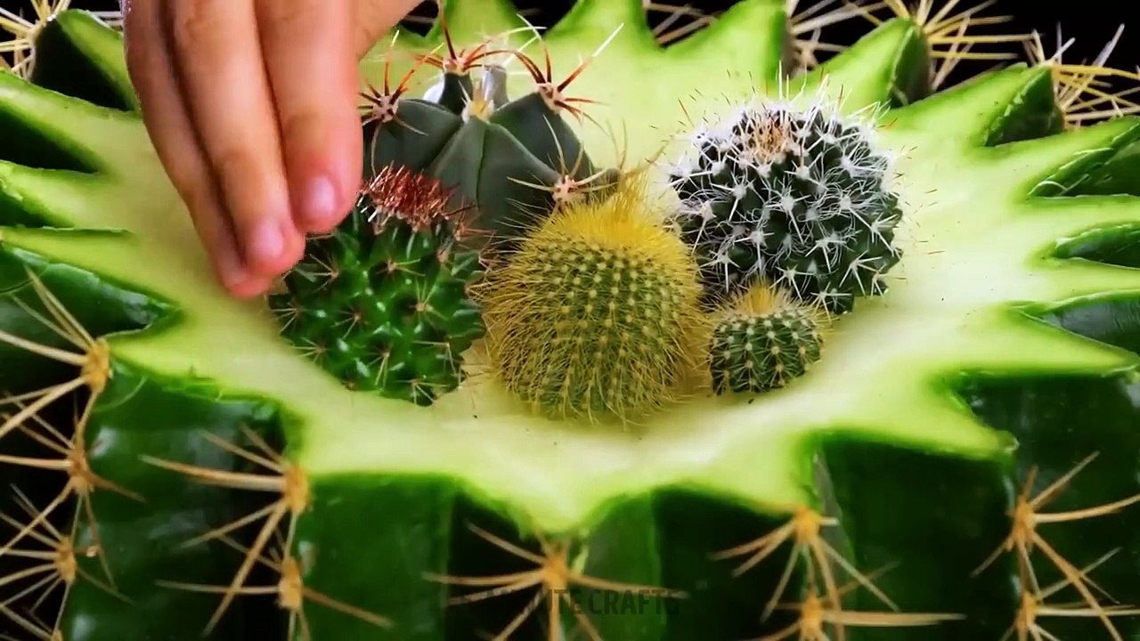 Useful Planting Hacks To Make You A Real Gardener