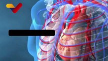 Vida Saludable | Enfermedades cardiovasculares, mitos y realidades