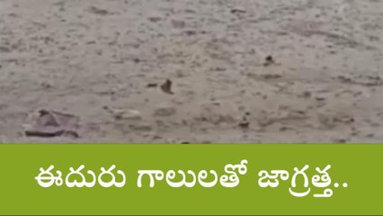 నారాయణపేట: కురిసిన వర్షం.. చల్లబడ్డ వాతావరణం