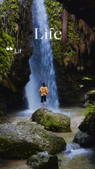 Green and Brown Simple Mobile Video TikTok Story Video