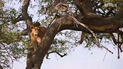 Unser Planet II Trailer OmdU