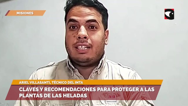 Claves y recomendaciones para proteger a las plantas de las heladas