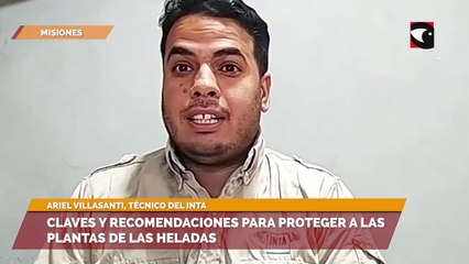 Claves y recomendaciones para proteger a las plantas de las heladas