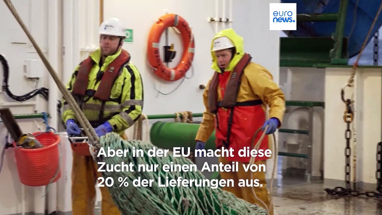 Algen sind eine kohlenstoffarme Proteinquelle, aber die EU hinkt bei der Produktion hinterher