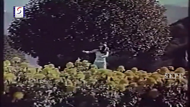 Ban Gaye Baat / Koi Jeeta Koi Hara 1976/ Asha Bhosle, Kishore Kumar, Saira Banu, Shashi Kapoor