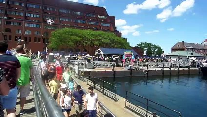 Dolphin Whale watch trip with New England Aquarium catamaran from Boston